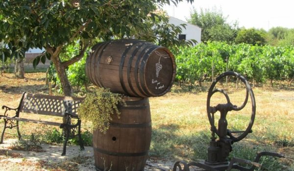 La Serranía cuenta con más de una veintena de bodegas.