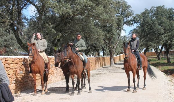 Los visitantes puedan conocer el centro de interpretación del toro de lidia y del caballo andaluz.