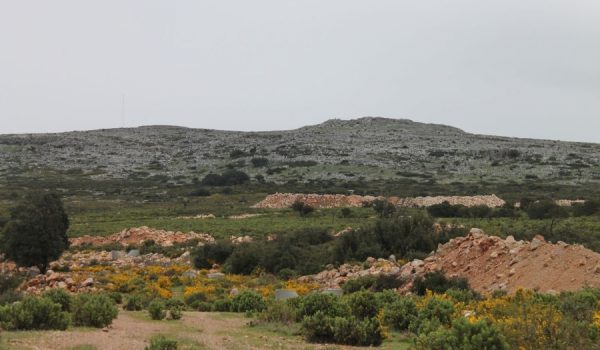 El polémico proyecto de Los Merinos, de nuevo en el ojo del huracán.