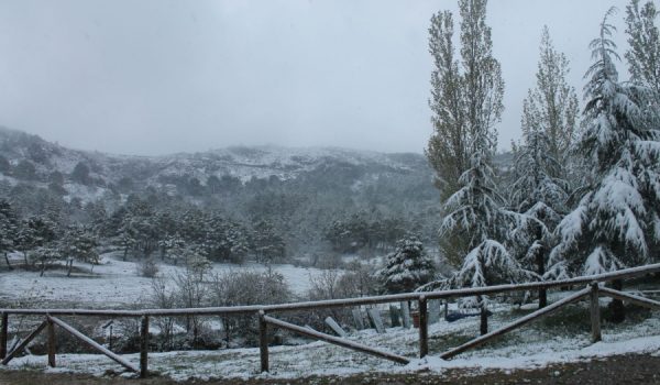 La Sierra de las Nieves, esta misma tarde.