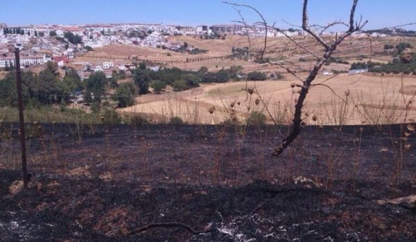 Así ha quedado la zona afectada por las llamas.