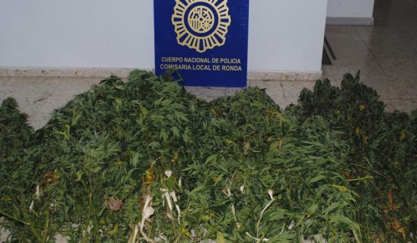 Imagen de los efectos incautados por los agentes de la Policía Nacional.