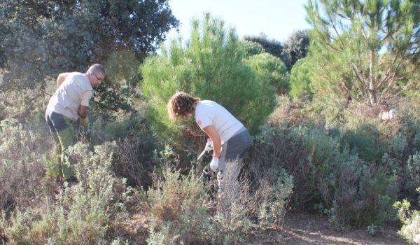 El parque se encuentra catalogado dentro de la RENPA (Red de Espacios Naturales Protegidos de Andalucía).