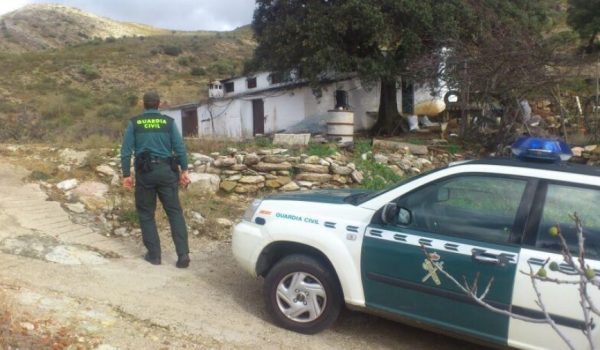 Los agentes encontraron un cerdo muerto en el interior de un vehículo.