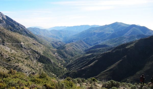 La Sierra de las Nieves se convertiría en el tercer Parque Nacional de Andalucía.