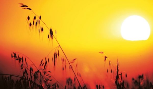 La intrusión de una masa anticiclónica sahariana, con aire extremadamente seco, traerá consigo uno de los días más calurosos en lo que va de año.