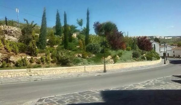 Zona ajardinada en el Barrio de San Francisco de cuyo mantenimiento se encargó hasta el 31 de julio el centro especial de empleo.