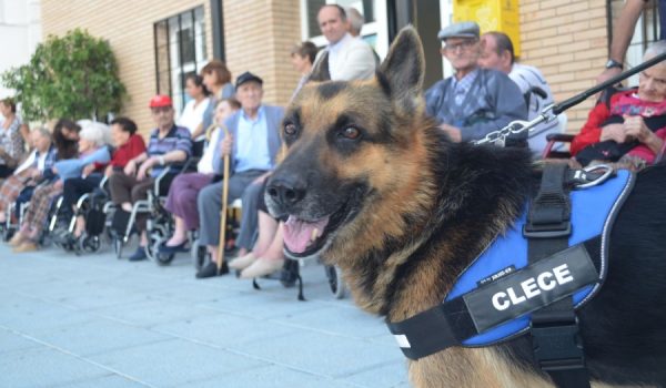 La terapia se llevó a cabo en la plaza del Ayuntamiento de Faraján.