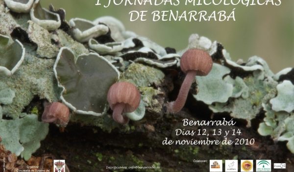 I Jornadas Micológicas de Benarrabá.