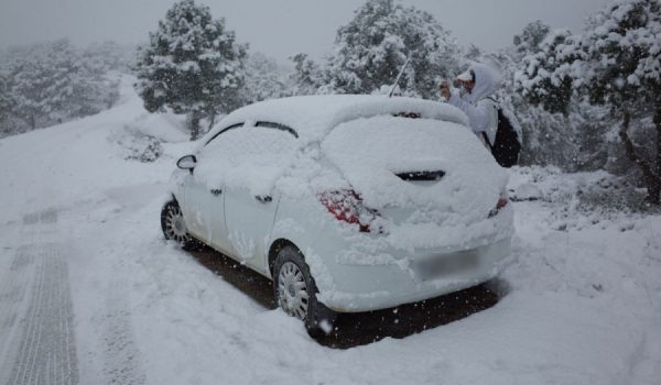 La Sierra de las Nieves se ha visto cubierta por una capa de nieve de considerable grosor.