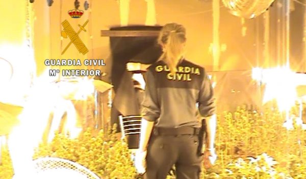 Imagen tomada durante la operación.