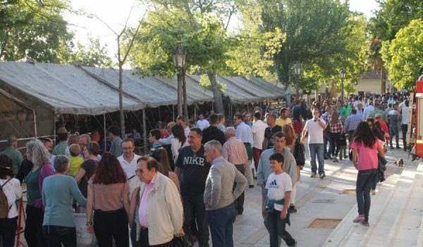 Aspecto que presentaba esta tarde la Alameda del Tajo.
