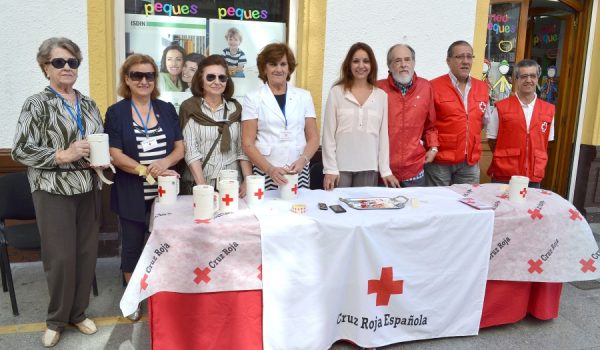 Alrededor de 40 voluntarios están colaborando con la campaña.