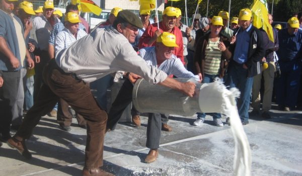 Los ganaderos, derramando leche de cabra en señal de protesta.