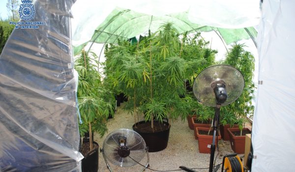 Imagen de parte de las sustancias intervenidas