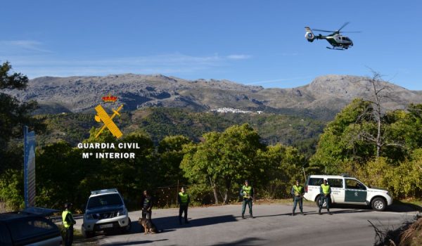 Los sucesos han tenido lugar en la pasada campaña.