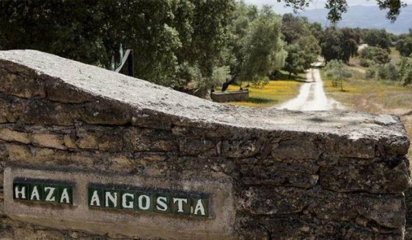 Imagen de la entrada a la finca