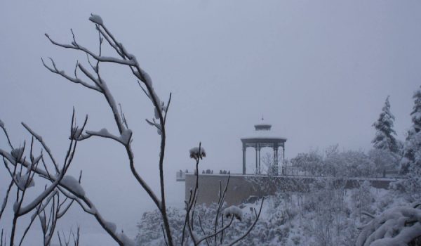 Las imágenes debe entregarse sin marca de agua y en formato digital.