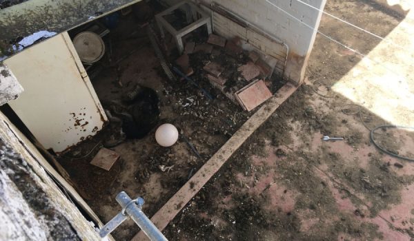 Los vecinos han denunciado que no pueden ni salir a sus patios o balcones por el olor y las moscas