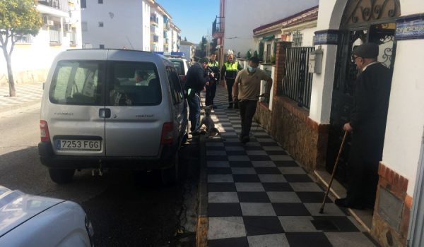 Imagen de uno de los animales rescatados