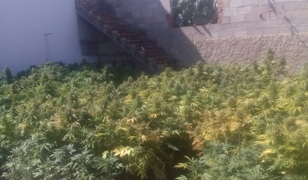 Se trata de una parcela en el carril de Nador, concretamente en el partido de Espejo Haza de Laura.