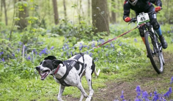La prueba se iniciará el 18 con una exhibición en la Alameda del Tajo.