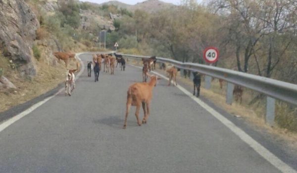 Imagen de una de las carreteras de la Serranía