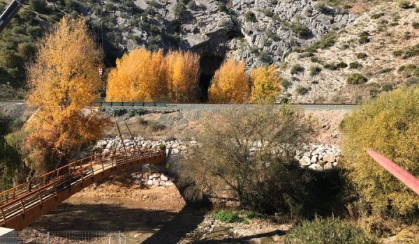 Diferentes colectivos venían reclamando la puesta en valor de la Cueva del Gato.
