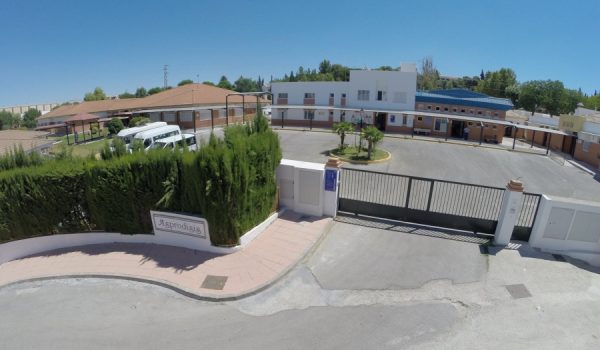 ASPRODISIS recogerá el premio el próximo lunes en Sevilla.