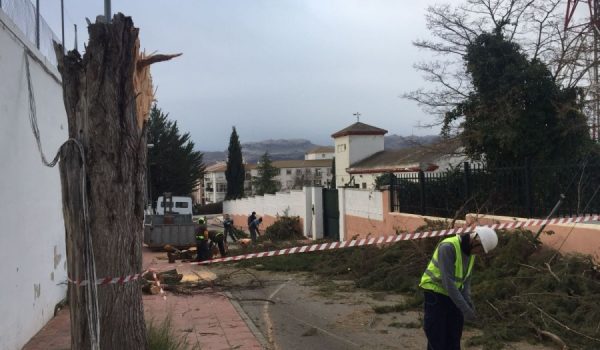 La calle Dolores Ibárruri ha sido una de las zonas más afectadas de la ciudad.