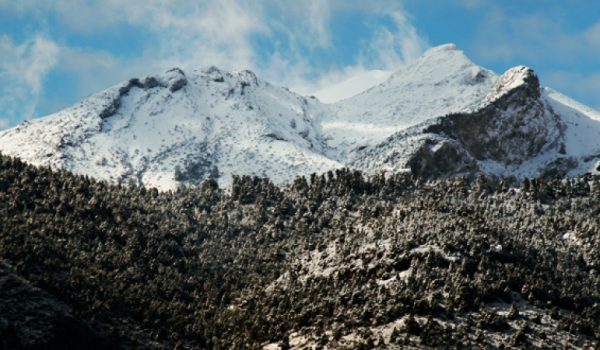 El Parque Sierra de las Nieves cuenta con una extensión de 23.000 hectáreas.
