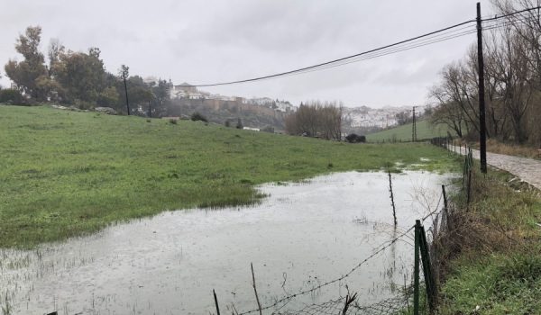 La ciudad presentaba hoy numerosas zonas anegadas