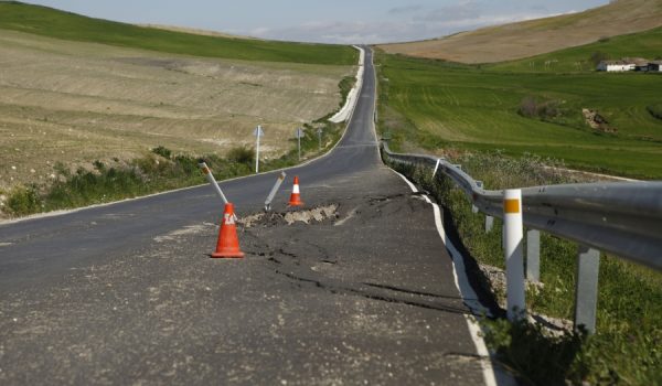 Una imagen muy habitual en cualquier carretera de la Serranía de Ronda