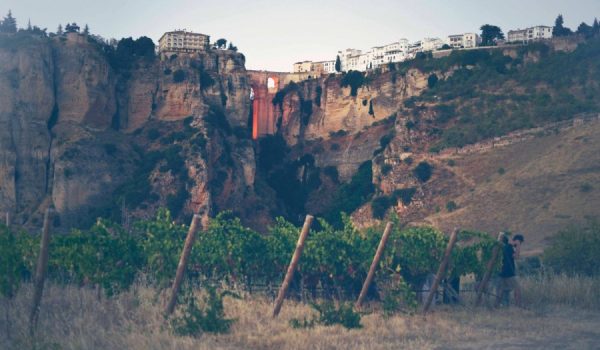 El evento se desarrollará en el viñedo Samsara, ubicado en el Valle de los Molinos en la ladera de El Tajo