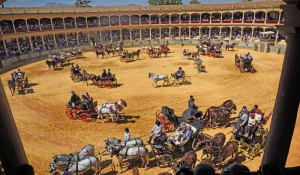 Imagen de una de las últimas ediciones del Concurso Exhibición de Enganches