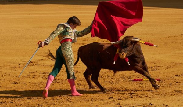 El rondeño Cayetano López, al igual que Moli de Ronda, debutó en la plaza de toros de nuestra ciudad