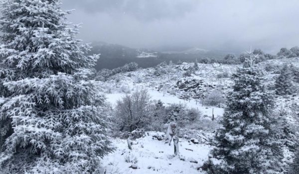 Una gran capa de nieve cubre el parque natural de Sierra de las Nieves.