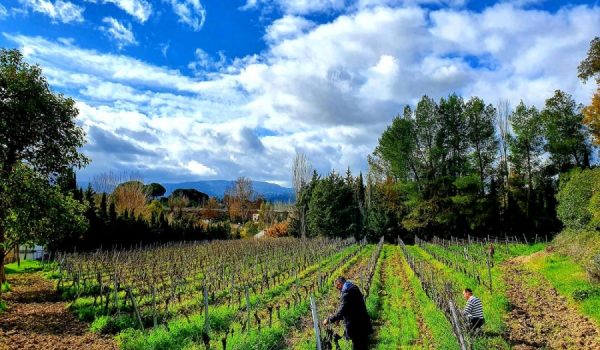 La bodega nació en 2016 y su vino Moscatel ha sido reconocido en dos ocasiones por este concurso internacional.