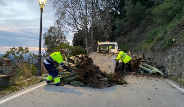 El equipo del servicio de Vías y Obras del Área de Fomento de la Diputación de Málaga logró despejar la vía a las 21:45 de ayer domingo.