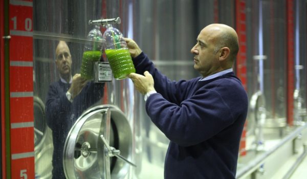 El gerente de la Almazara de Ronda, Juan Rosúa.