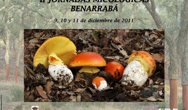 El sábado día 10 tendrá lugar la salida al campo para recolectar setas en los montes cercanos.