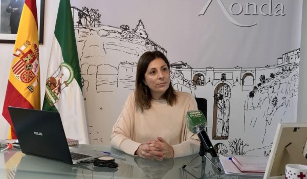 La regidora alude al Gobierno central para que habilite líneas de financiación específicas para los ayuntamientos.