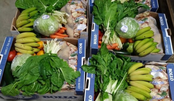 Imagen de las compras que preparan para distribuir entre rondeños que no atraviesan por un buen momento económico