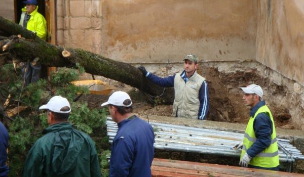 Operarios realizando tareas de desbroce.