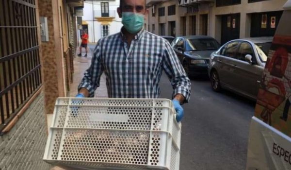 Javier Gil colabora estrechamente con el colectivo solidario desde que los efectos de la crisis del coronavirus hicieron mella en las familias más vulnerables.
