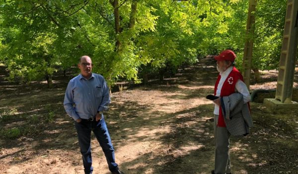 El propietario de Nueces de Ronda, Álvaro Fernández, junto al presidente de la Asamblea local de Cruz Roja en Ronda, Antonio Lasanta en la Finca La Molinilla.