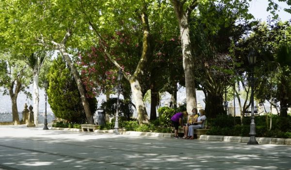 El paciente fallecido presentaba patologías crónicas, distintas al COVID-19, que le causaron la muerte.