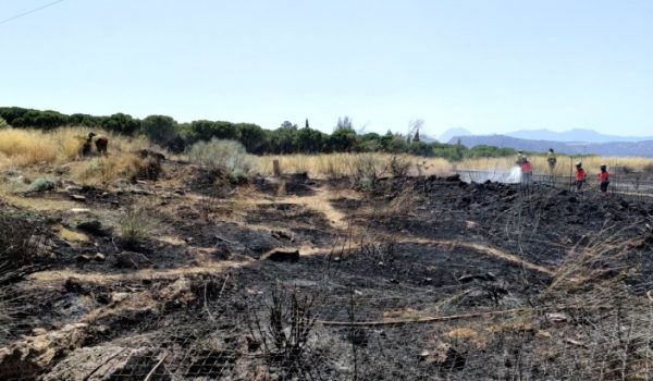 El incendio se ha iniciado pasadas las tres de la tarde