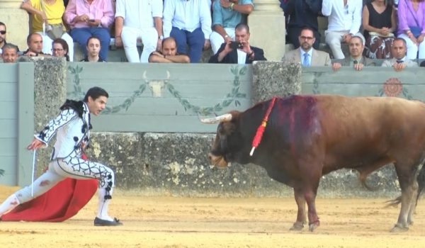 Pablo Aguado en la última edición de la Tradicional Corrida Goyesca en 2019.