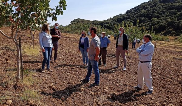 Los creadores de la empresa aspiran a abrir sus instalaciones el próximo año, de cara a la campaña de septiembre de 2021, con la creación de, al menos, cinco nuevos puestos de trabajo.